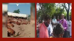 Anthrax: గొర్రెలు ఆంత్రాక్స్‌తోనే మృతి చెందినట్లు వైద్యుల నిర్దారణ