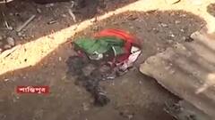 WB By-Poll: ভোটের আগের রাতে শান্তিপুরে বিজেপি নেতার বাড়িতে হামলা, অভিযুক্ত তৃণমূল | Bangla News