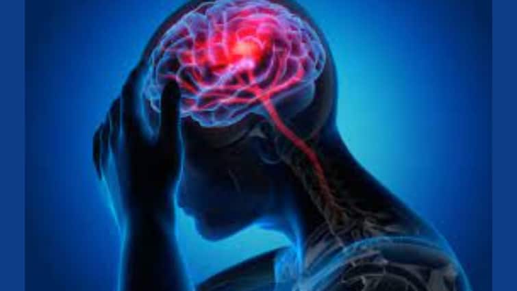 Brain Stroke Risk Factors: These 7 Lifestyle Habits Are Increasing Your Risk of Brain Stroke Brain Stroke: কোন কোন অভ্যাসের কারণে স্ট্রোকের ঝুঁকি বাড়ে?