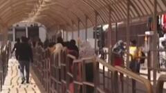 દ્વારકાઃ દિવાળીના પર્વને લઈને વેપારીઓમાં ખુશીનો માહોલ, હોટેલ થઈ હાઉસફુલ