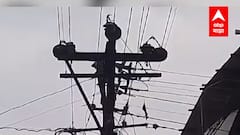 Satara : दिवाळीसाठी घराला रोषणाई करताना संपूर्ण कुटुंबाला वीजेचा धक्का ABP Majha