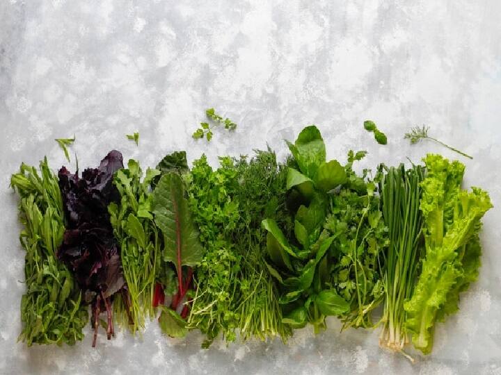 Follow these easy kitchen tips to Clean Leafy Vegetables easily Kitchen Tips: साग धोते समय होती है परेशानी, इन आसान टिप्स को फॉलो करके अपने काम को करें आसान