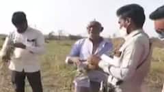 ન્યૂઝરૂમ લાઈવઃરાજ્યના સાત જિલ્લાઓમાં નુકસાનીનો સર્વે પૂર્ણ, કૃષિમંત્રી રિપોર્ટ CMને સોંપશે