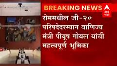 G20 Summit : NSGमध्ये स्थान मिळावं यासाठी भारताची मुत्सद्दी भूमिका, काय म्हणाले मंत्री पीयूष गोयल?