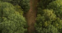 RRR Glimpse: 'ఆర్ఆర్ఆర్' గ్లింప్స్‌లో ఇవి గ‌మ‌నించారా!?