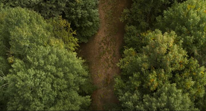 ఎన్టీఆర్‌కు, పులికి మ‌ధ్య‌ 'ఆర్ఆర్ఆర్'లో ఓ ఫైట్ ఉందని ప్రచారం జరుగుతోంది. ఆ ఫైట్ చూపించలేదు గానీ... ఎన్టీఆర్‌ను వెంటాడుతున్న పులిని చూపించారు. మరీ అంత చూపించలేదు. అందువల్ల, నిశితంగా గమనిస్తే తప్ప కనిపించదు. (Image credit: DVV Entertainment/Youtube)