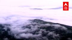 Chiplun Ratnagiri : हिरवाईने नटलेलं निसर्गरम्य कोकण... रत्नागिरीतील खुललेलं निसर्गाचं लावण्य