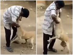 Viral Video: कुत्ते को परेशान कर रहे व्यक्ति को गाय ने दी सजा! सोशल मीडिया पर वायरल हुआ वीडियो