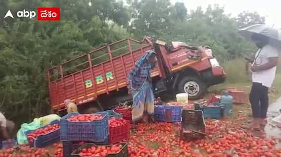 Nellore: నెల్లూరు జిల్లా వ్యాప్తంగా భారీ వర్షాలు... ప్రాణాపాయం నుంచి తప్పించుకున్న డ్రైవర్