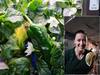 NASA Astronaut Makes 'Best Space Tacos' From First Chilli Peppers Grown Aboard International Space Station