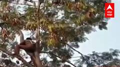 ST Protest : उस्मानाबाद मध्ये एसटी कर्मचाऱ्यांचं आंदोलन चिघळलं, एका कर्मचाऱ्याचा आत्महत्येचा इशारा