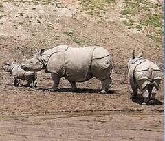 Heritage of India: 'মেরা ভারত মহান', এক ঝলকে দেশের সেরা ১০ ঐতিহ্য