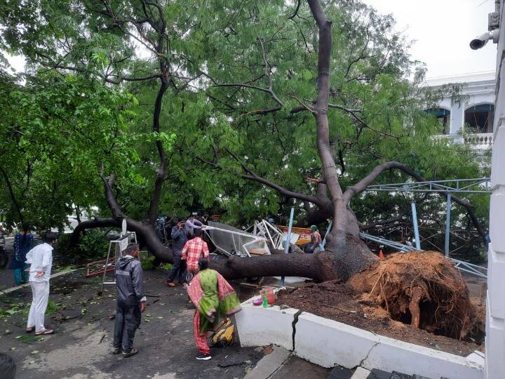 Tamil Nadu: Woman Police Officer Dies In Secretariat After Tree Falls On Her Due To Heavy Rains Tamil Nadu: Woman Police Officer Dies In Secretariat After Tree Falls On Her Due To Heavy Rains