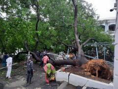 Tamil Nadu: Woman Police Officer Dies In Secretariat After Tree Falls On Her Due To Heavy Rains
