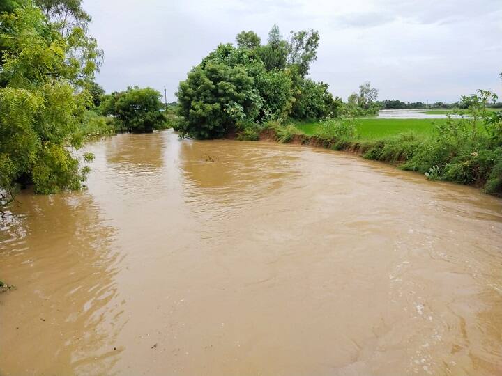 Groundwater level rises in Villupuram, Kallakurichi district due to continuous rains விழுப்புரம் கள்ளக்குறிச்சியில் கொட்டித்தீர்க்கும் மழை... நீர்நிலைகளில் வெள்ளப்பெருக்கு!