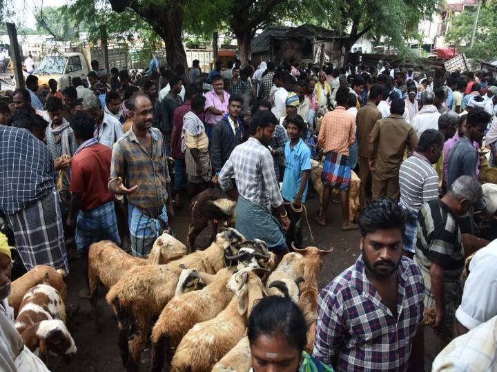 வாடிப்பட்டி சந்தையில் லட்சக்கணிக்கில் விற்பனையான ஆடுகள்.
