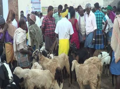 Goats bought for meat are sold at the Andipatti Goat Market in Dindigul தீபாவளி எதிரொலி...! - ஆண்டிப்பட்டி ஆட்டுச்சந்தையில் ஆடுகள் விலை கிடுகிடு உயர்வு...!