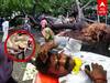 Chennai Rains: தலைமை செயலகத்தில் உயிரிழந்த பெண் காவலர் -நிதியுதவி வழங்கிய முதல்வர் ஸ்டாலின்!