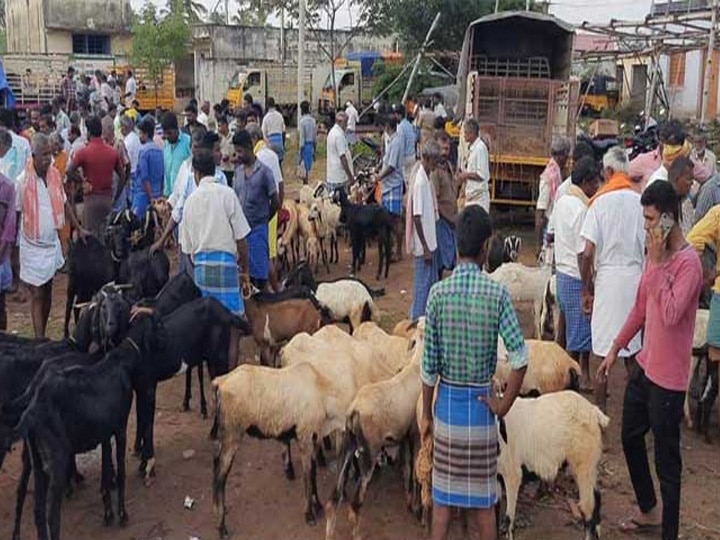 தீபாவளி எதிரொலி...! - ஆண்டிப்பட்டி ஆட்டுச்சந்தையில் ஆடுகள் விலை கிடுகிடு உயர்வு...!