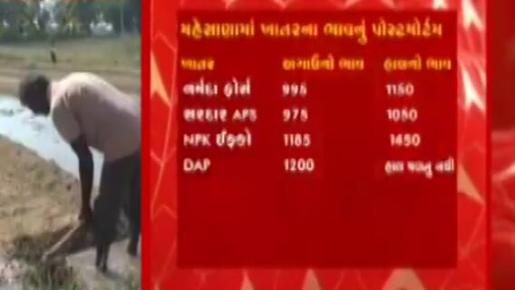 મહેસાણાઃ ખાતરમાં ભાવ ઘટાડાની જાહેરાત છતા નથી ઘટ્યા ભાવ, ખેડૂતો પરેશાન