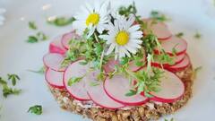 শরীরে প্রাকৃতিক ক্লিনজারের কাজ করে মুলো, রয়েছে একাধিক কার্যকারিতা