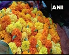 Dhanteras पर खिल उठे फूलवालों के चेहरे, इतने में बिक रही गेंदे की लड़ी | Diwali 2021