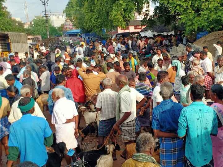 தீபாவளி எதிரொலி...! - ஆண்டிப்பட்டி ஆட்டுச்சந்தையில் ஆடுகள் விலை கிடுகிடு உயர்வு...!