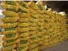 Fertilizer Price : गेल्या महिन्यात 900 रुपयात मिळणारं पोटॅश खत आज 1800वर कसं? शेतकऱ्यांचे सवाल