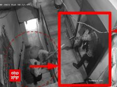 ਲੁਧਿਆਣਾ 'ਚ ਲੁਟੇਰੇ vs Security Guard | ਸੁਰੱਖਿਆ ਗਾਰਡ ਦੀ ਦਲੇਰੀ ਭਰੀ ਵੀਡੀਓ ਆਈ ਸਾਹਮਣੇ