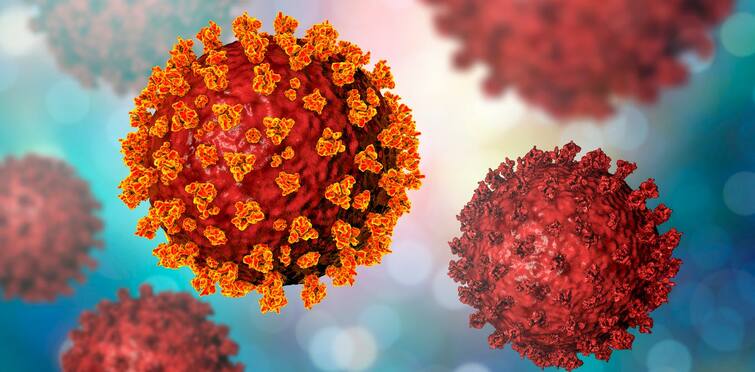 Europe could suffer 500,000 more virus deaths by Feb says WHO expert Coronavirus : फेब्रुवारीपर्यंत कोरोनामुळे पाच लाख मृत्यूची भिती, WHO ने  व्यक्त केली चिंता