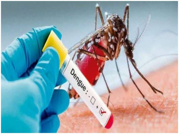 Indore Dengue Update: Dengue cases increased in Indore, 7 including a woman were found infected Indore Dengue Update: इंदौर में एक महिला समेत 7 मिले डेंगू संक्रमित, बढ़ते मामलों को देखते हुए स्वास्थ्य विभाग ने उठाया ये कदम
