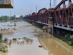 Yamuna Pollution: यमुना के प्रदूषण मामले में NGT ने NDMC को क्या कहा, जानिए
