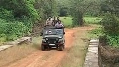 Dajipur Wildlife Sanctuary :गर्दीपासून दूर, निसर्गाच्या सान्निध्यात असलेल्या दाजीपूर अभयारण्याची सफर