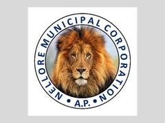 Nellore: నెల్లూరులో కార్పొరేషన్‌ కోసం టీడీపీ విశ్వప్రయత్నాలు.. రంగంలోకి దిగ్గజాలు.. కానీ, కనిపించని కీలక నేత