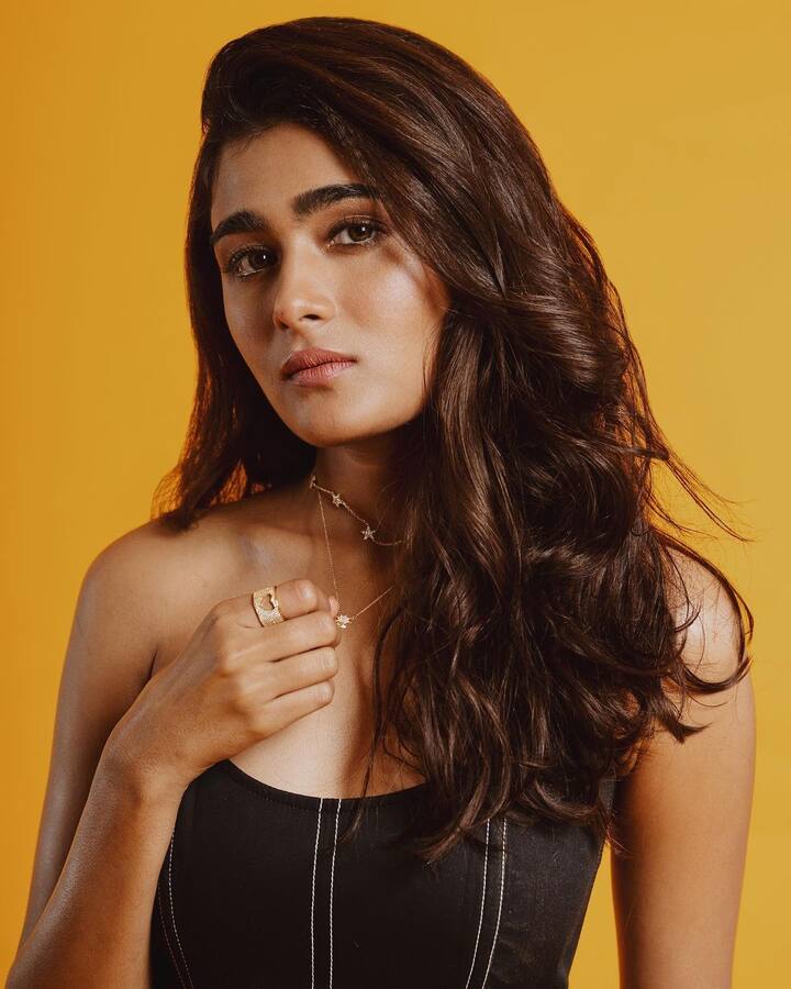 షాలినీ పాండే (Image Credit/ Shalini Pandey Instagram)