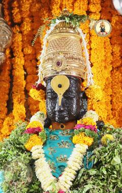 PHOTO : बोलावा विठ्ठल, पहावा विठ्ठल... दिवाळीनिमित्त विठुरायाची राऊळी सजली, आकर्षक फुलांची सजावट