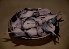 PHOTO : कोरोनाचा संपूर्ण कालखंड रांगोळीतून साकारला, वसईत अनोखं रांगोळी प्रदर्शन