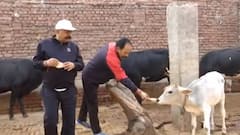 Neta Ji Fit Hain To Hit Hain: योगी सरकार में राज्यमंत्री चौधरी उदयभान के फिट रहने का हिट फॉर्मूला