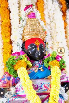 PHOTO : बोलावा विठ्ठल, पहावा विठ्ठल... दिवाळीनिमित्त विठुरायाची राऊळी सजली, आकर्षक फुलांची सजावट