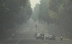 Delhi First Fog: দীপাবলির প্রাক্কালে ফের দূষণের কবলে দিল্লি-এনসিআর