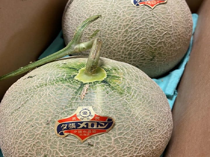 Know about the most expensive Fruit of the World Yubari Melon Most Expensive Fruit: ये है दुनिया का सबसे महंगा फल, कीमत जानकर हैरान रह जाएंगे आप!