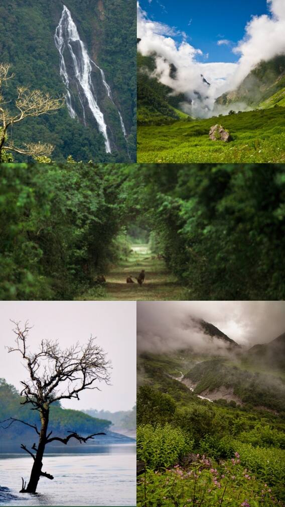 Kaziranga To Western Ghats: India's Natural Treasures On UNESCO World Heritage List