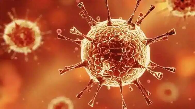 Who says 53 countries may face new wave of coronavirus કોરોનાથી ડરવું જરૂરી: WHOએ આપી ચેતવણી, 53 દેશોમાં આવી શકે છે નવી લહેર