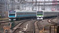 Secret Of Train Horns: ਇਹ ਹੈ ਟ੍ਰੇਨ ਦੇ ਹੌਰਨਾਂ ਦਾ ਰਾਜ਼, ਜਾਣੋ ਰੇਲ ਵੱਖ-ਵੱਖ ਹੌਰਨ ਕਿਉਂ ਵਜਾਉਂਦੀ?