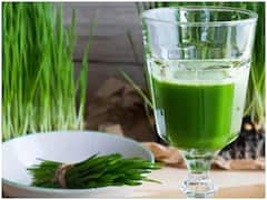 Dengue Platelet Count: डेंगू में प्लेटलेट्स बढ़ाने में मदद करता है व्हीटग्रास जूस, शरीर को मिलते हैं कई फायदे