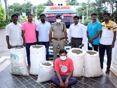 ஆம்புலன்ஸ் மூலம் இலங்கைக்கு கஞ்சா கடத்த முயற்சி - ஒரு கோடி மதிப்புள்ள 200 கிலோ கஞ்சா பறிமுதல்