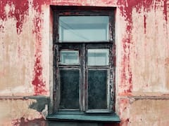 Puzzle: ఈ ఫొటోలో పిల్లి ఉంది కనిపెట్టండి చూద్దాం.. ఆన్సర్ ఇదిగో..