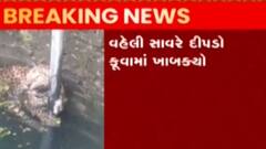 જૂનાગઢઃ આ ગામમાં દીપડો ખાબક્યો કુવામાં, વન વિભાગની ટીમ થઈ દોડતી