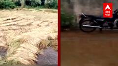 Monsoon : ऐन दिवाळीत शेतकऱ्यांसमोर नवं संकट, रत्नागिरी, सिंधुदुर्ग, गोंदियात जोरदार पावसाची हजेरी