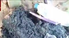 Agartala: আগরতলা পুরোভোটের আগেই ভাঙচুর বামপ্রার্থীর বাড়িতে । Bangla News